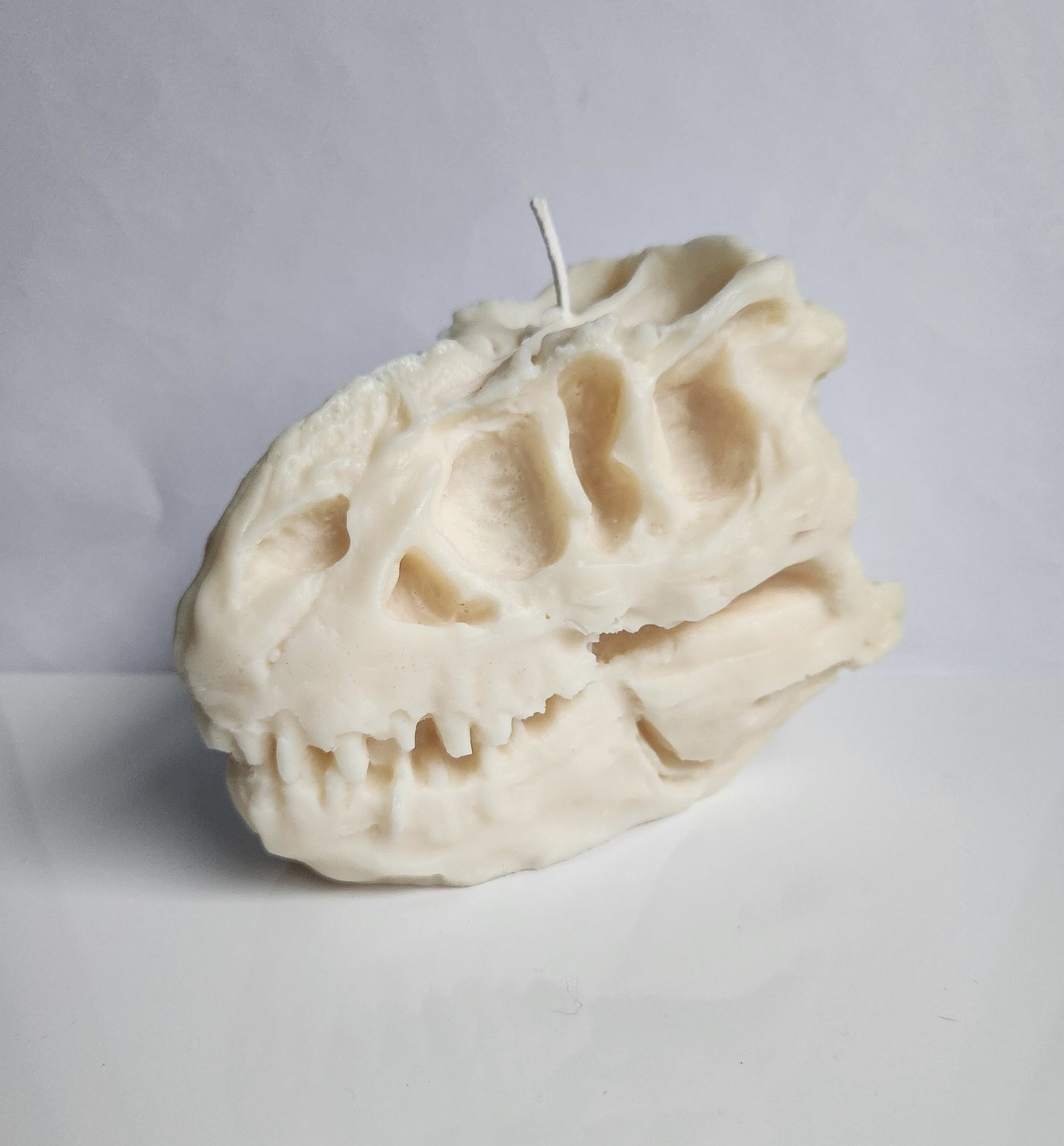 Ancient Roar Dinosaur Skull Candle (Huge)