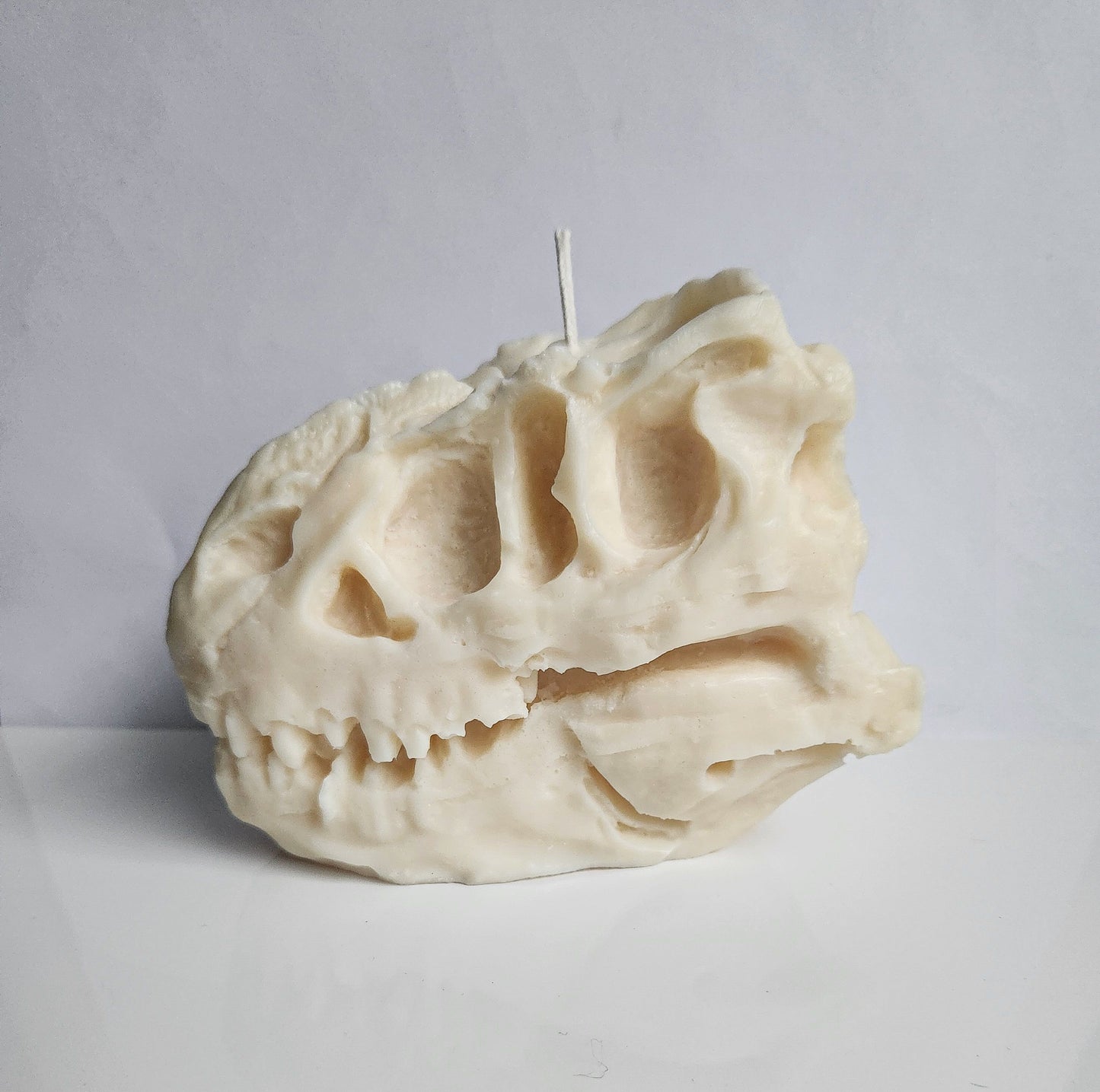 Ancient Roar Dinosaur Skull Candle (Huge)