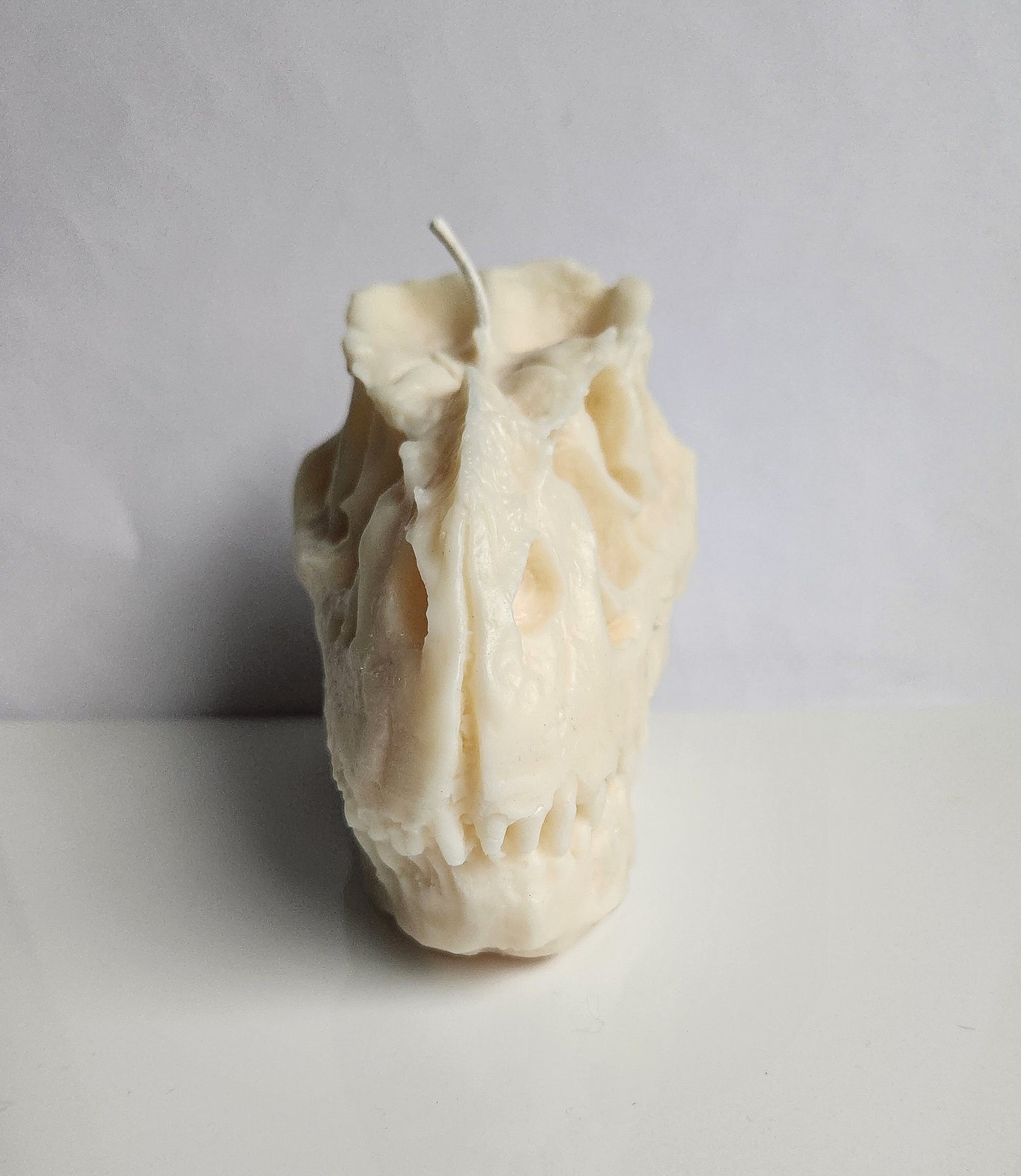 Ancient Roar Dinosaur Skull Candle (Huge)