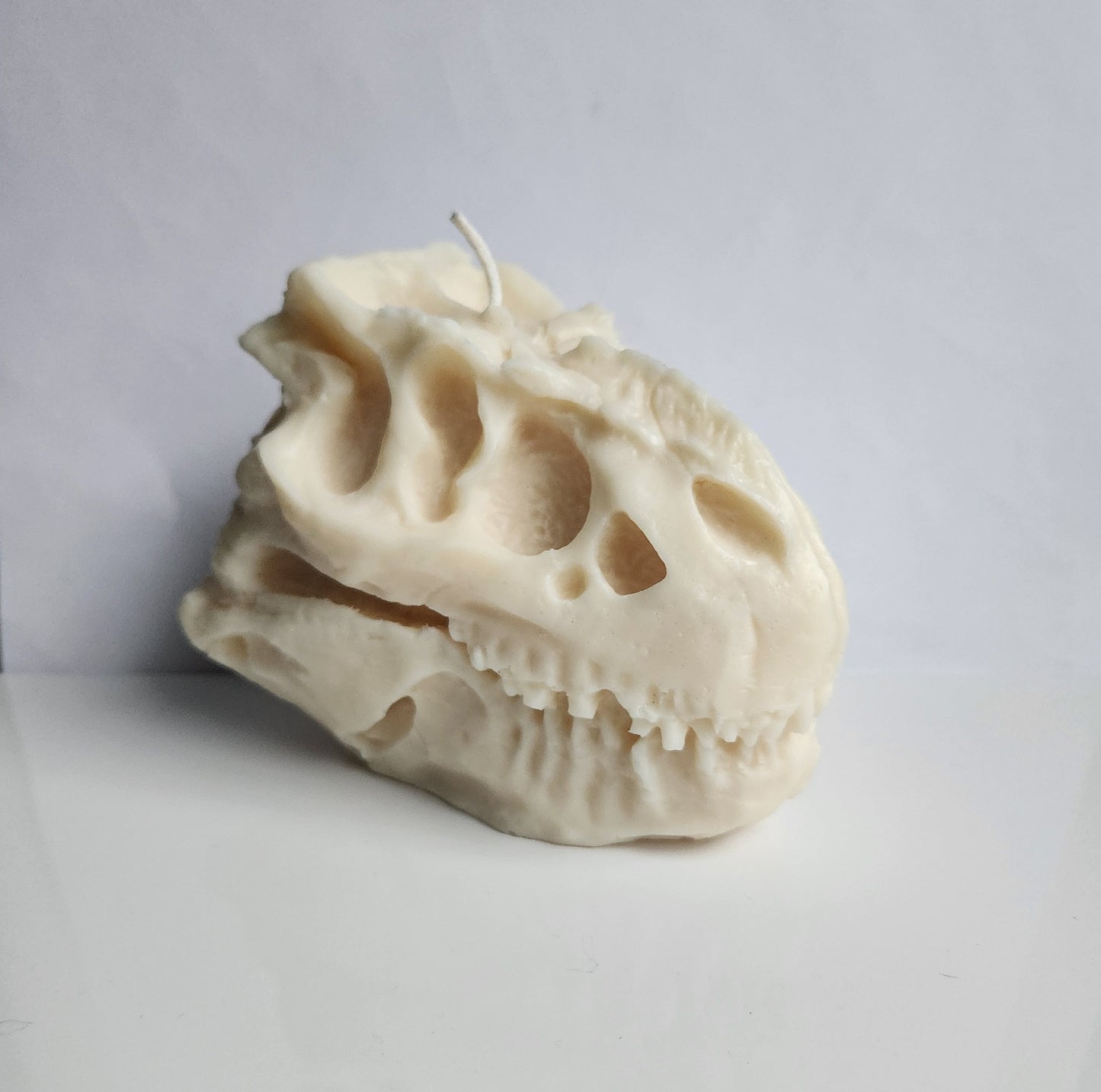 Ancient Roar Dinosaur Skull Candle (Huge)