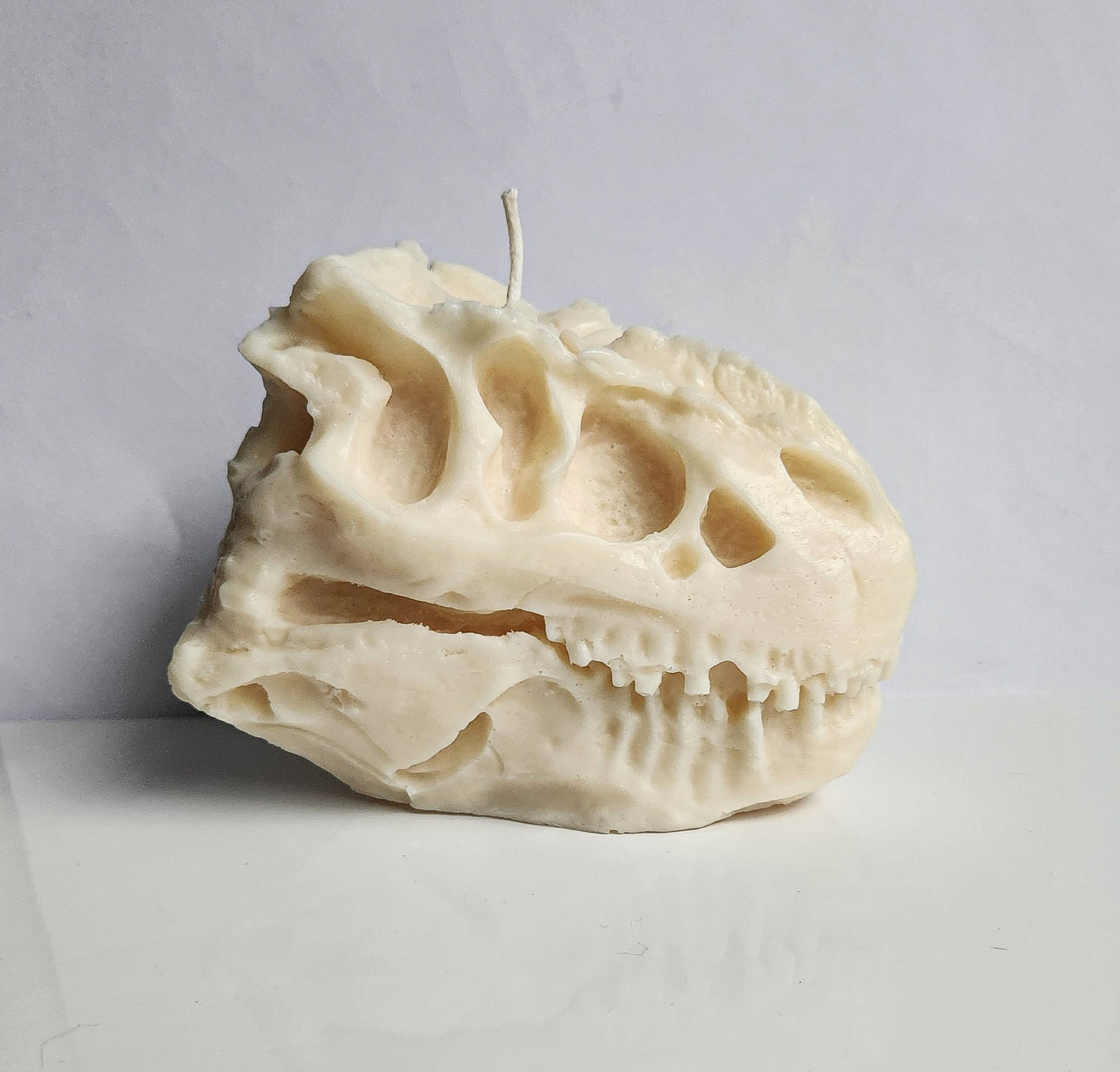 Ancient Roar Dinosaur Skull Candle (Huge)