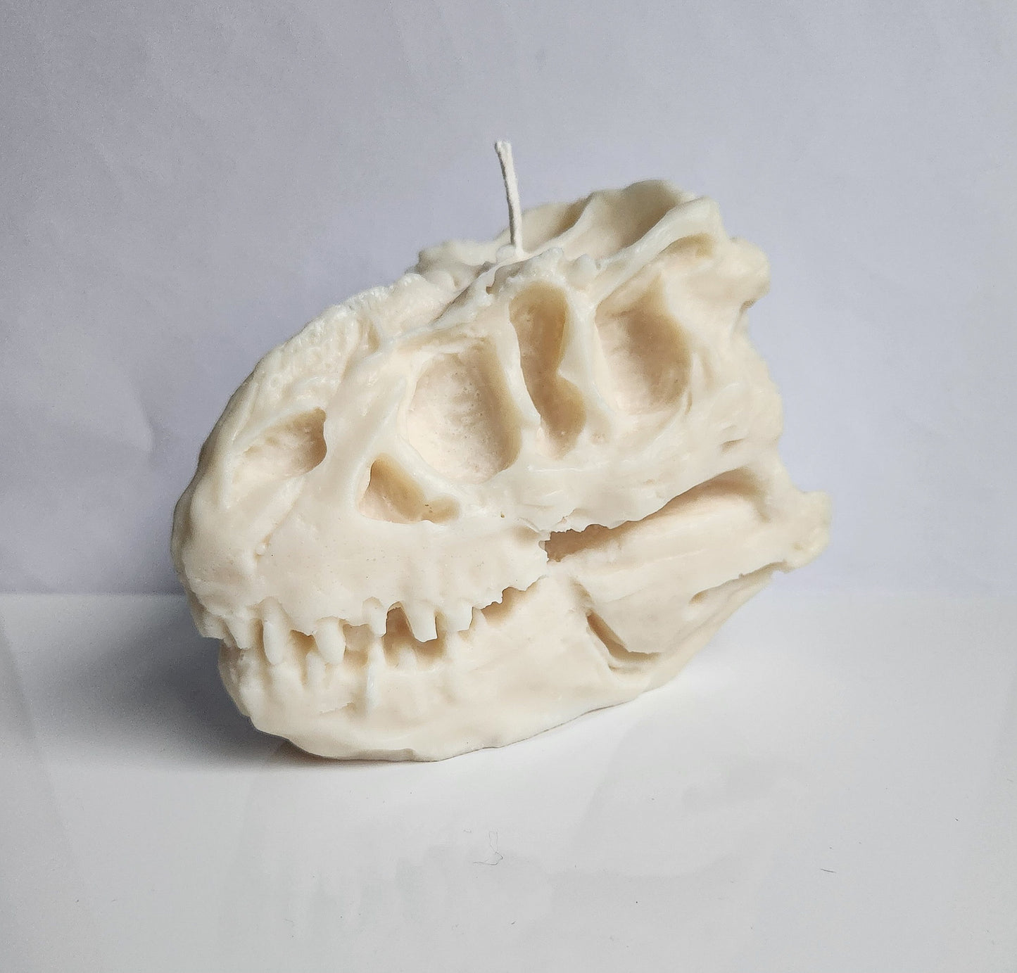 Ancient Roar Dinosaur Skull Candle (Huge)