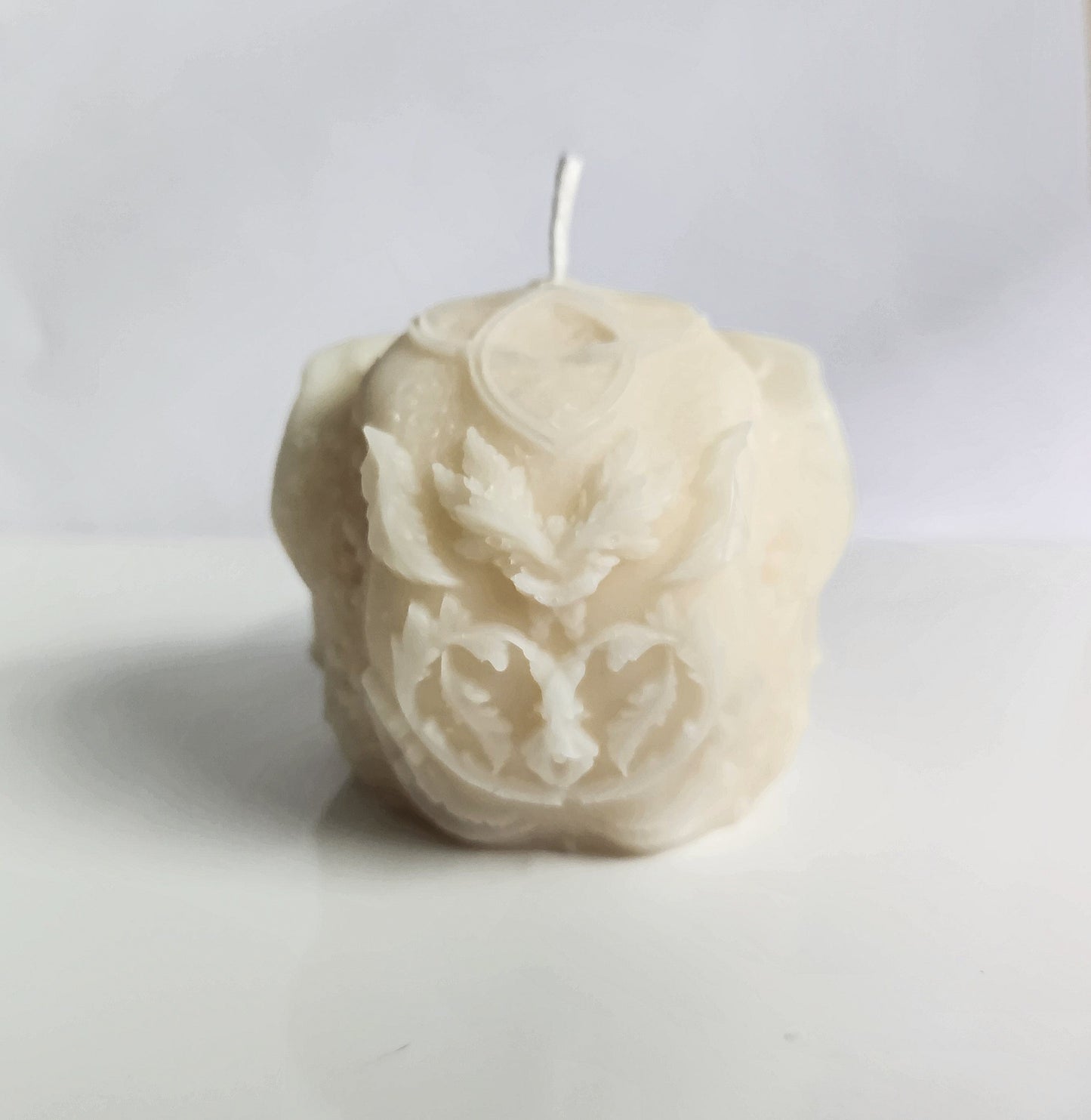 Mystic Raven Crow Skull Candle (Large)