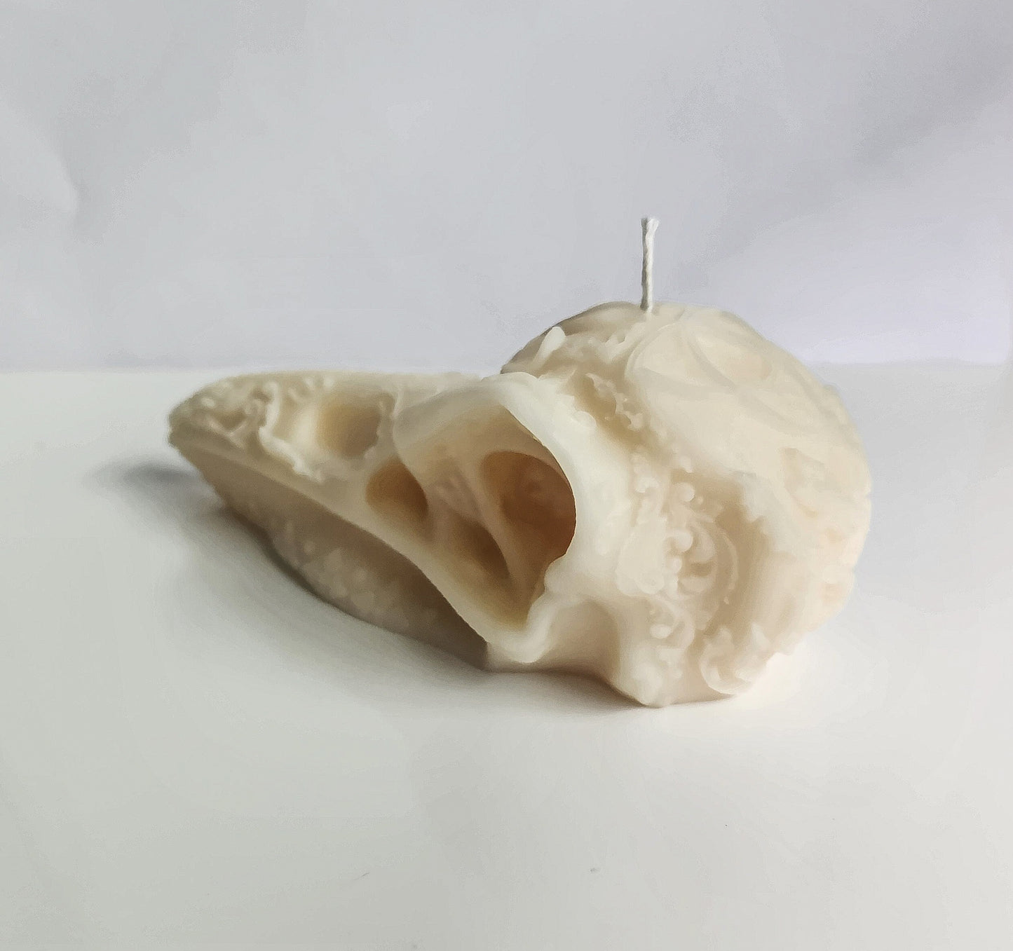 Mystic Raven Crow Skull Candle (Large)