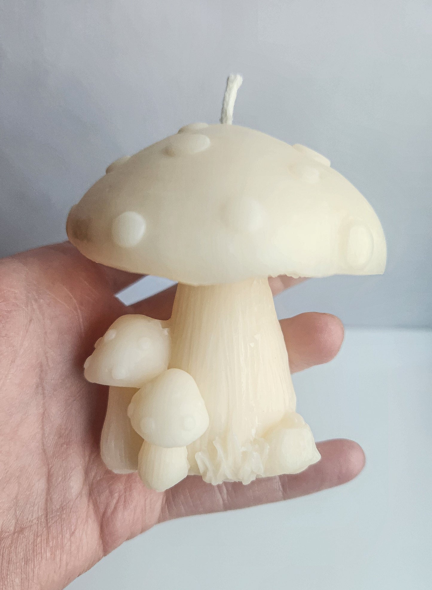 Mushroom Candle