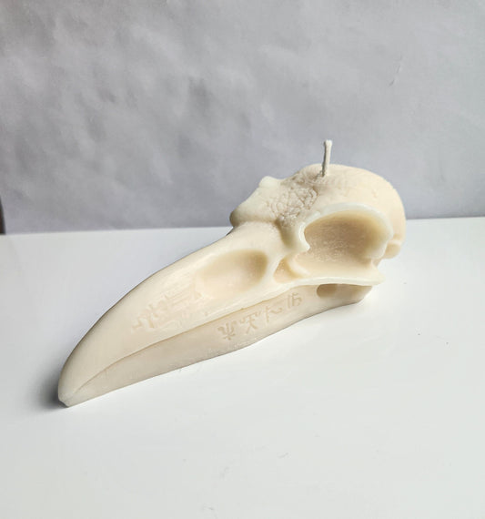 Dark Wings Raven Crow Skull Candle (Large)