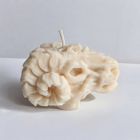 Skull of Secrets Sheep Ram Candle